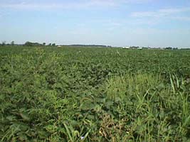 Monroe Farm Land